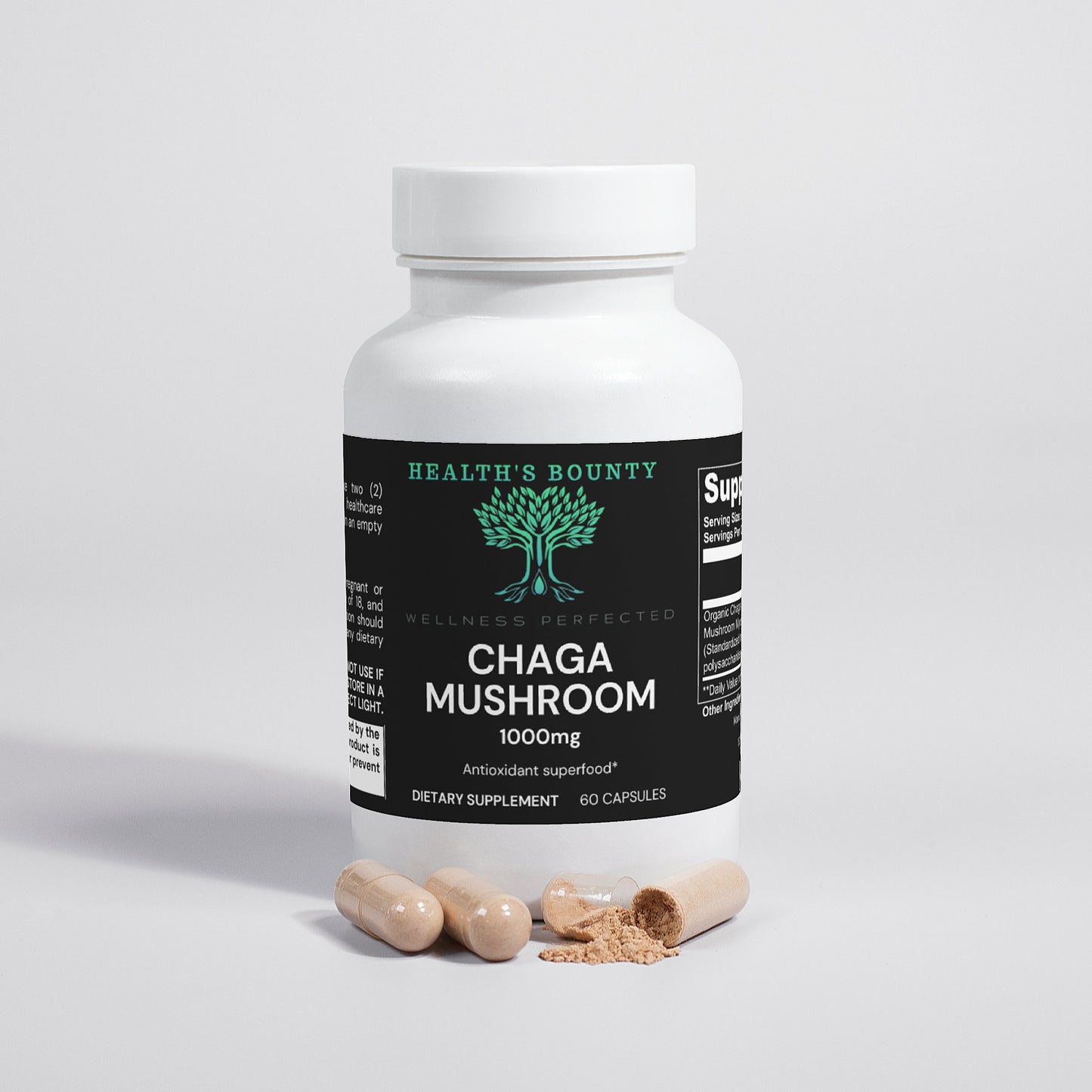 Chaga Mushroom